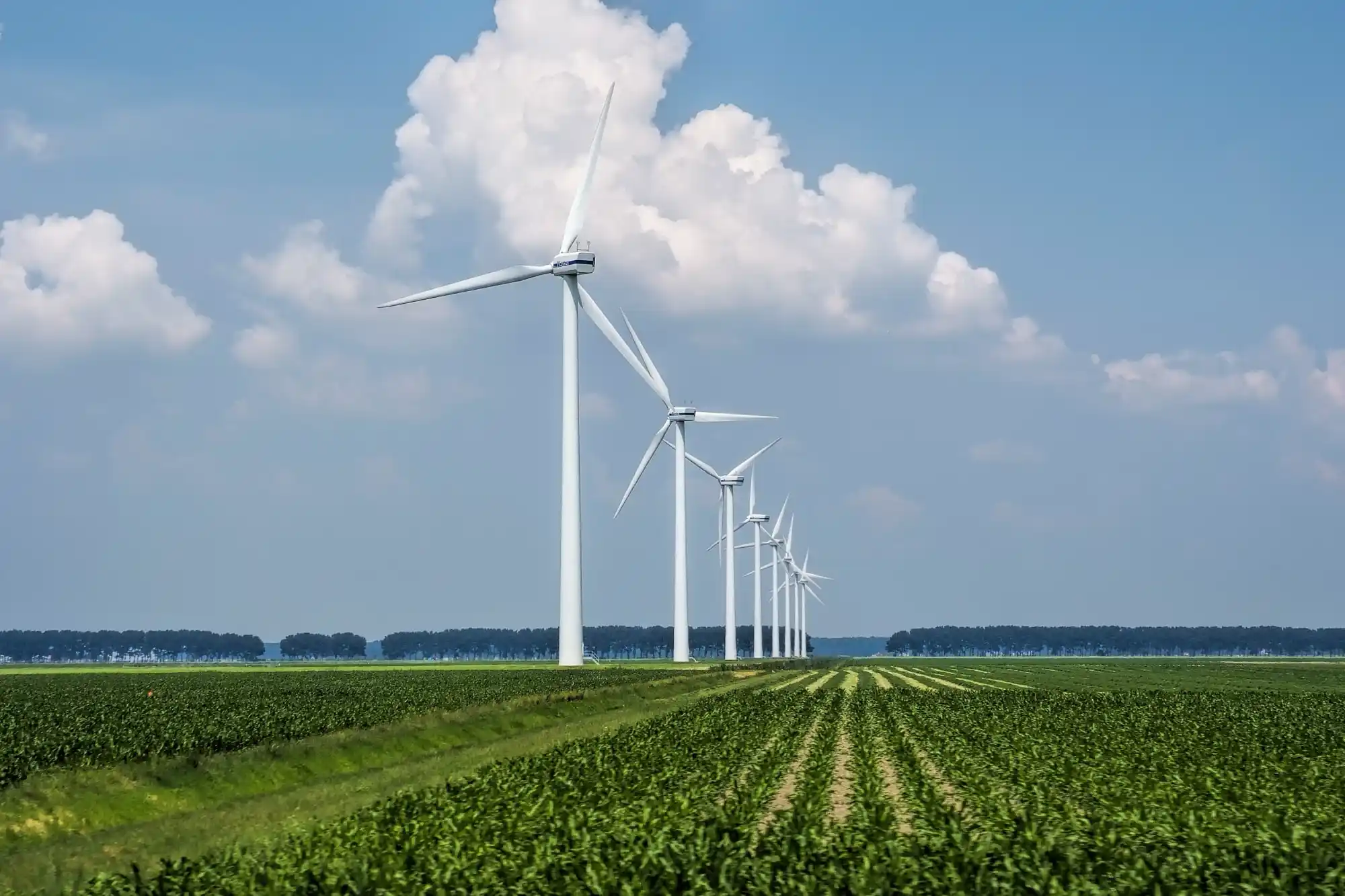 1668068203-在荷兰捕获的草地上的风力涡轮机的美丽景色