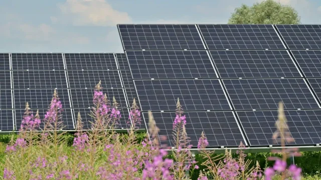 1667808387-black solar panels on purple flower field during daytime